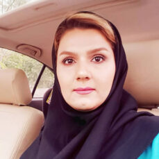 پروانه میگونی